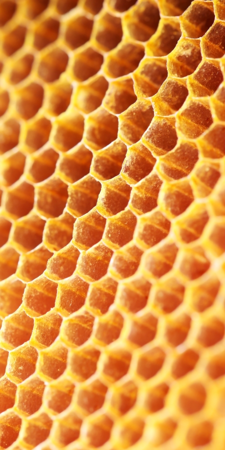 Bogn Engiadina Honey Massage in the Roman-Irish Bath Bogn Engiadina Honey Massage in the Roman-Irish Bath